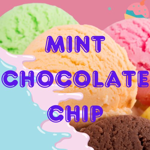 Mint Chocolate Chip